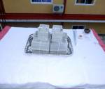 Foundation Ceremony for Pagoda
