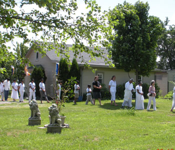 Gallery Image 8