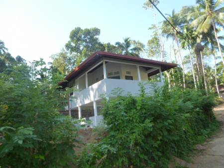 Gallery Image 9
