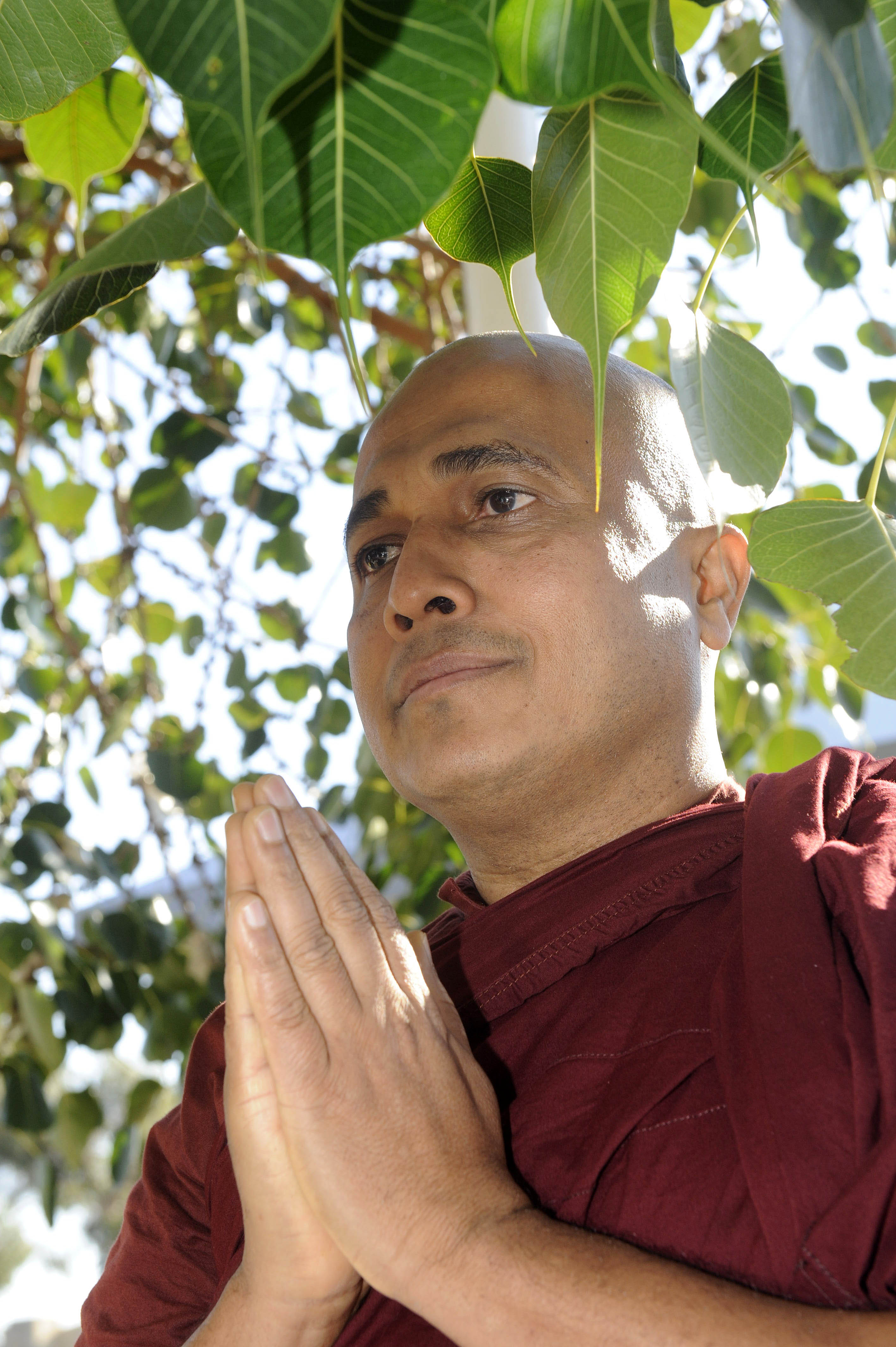 Ven. Muruthamure Pannaloka Thero